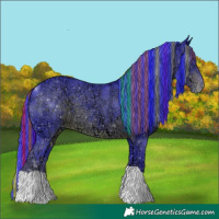 Horse Color:Painted Watercolor Liver Chestnut Ice Appaloosa