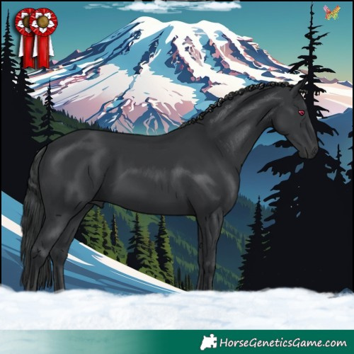 Horse Color:Black 