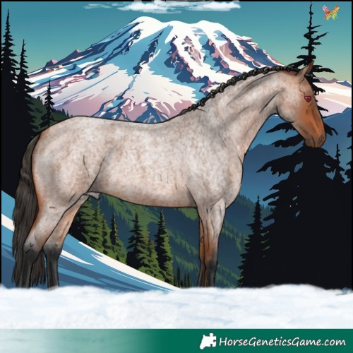 Horse Color:Bay Roan 