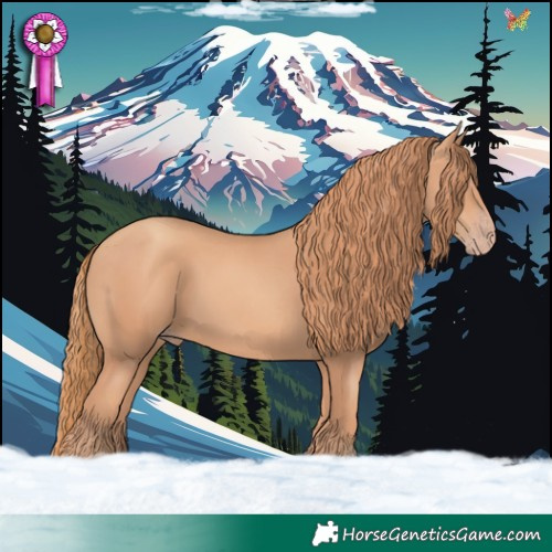 Horse Color:Gold Champagne 