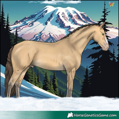 Horse Color:Amber Cream Champagne 