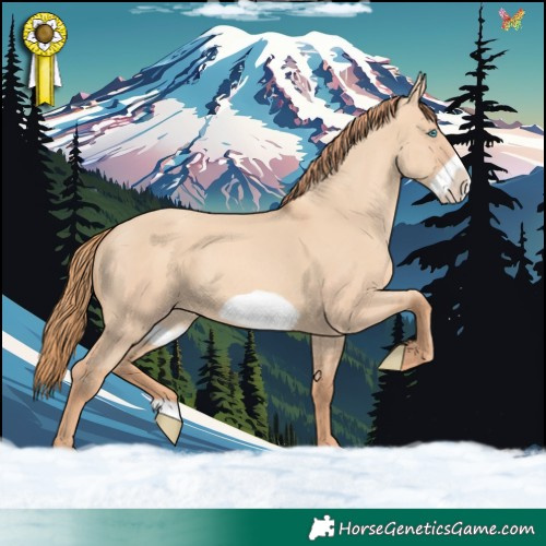 Horse Color:Gold Champagne Dun Frame 