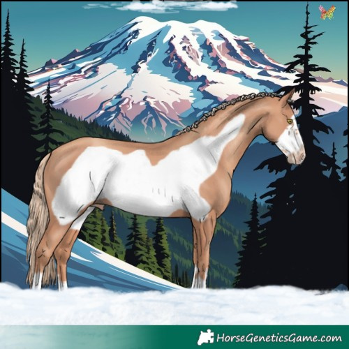 Horse Color:Gold Champagne Frame 