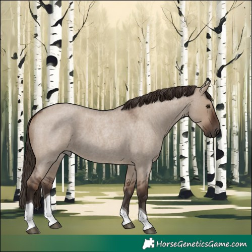 Horse Color:Liver Red Dun Roan Tobiano