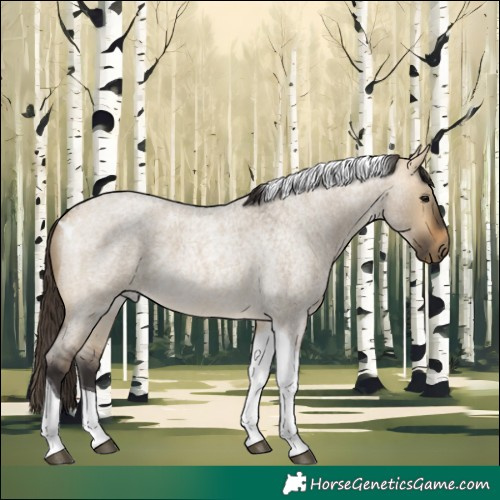 Horse Color:Buckskin Roan Dun Tobiano 