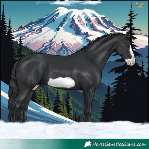 Horse Color:Black Frame 