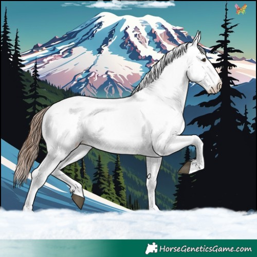 Horse Color:White Spotted Chestnut 
