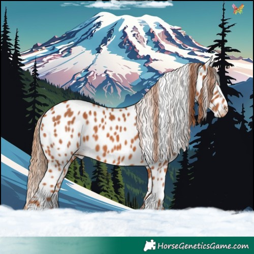 Horse Color:Chestnut Appaloosa