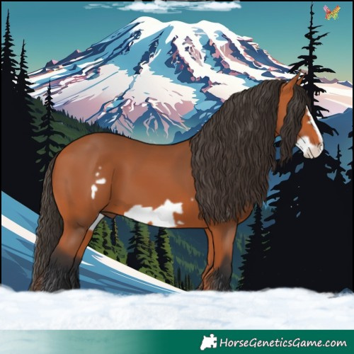 Horse Color:Bay Frame 