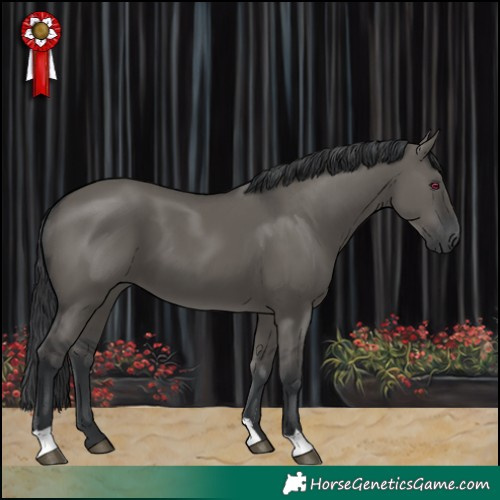 Horse Color:Grullo 