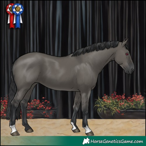 Horse Color:Grullo 