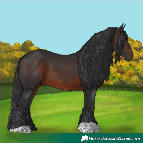 Horse Color:Brown 