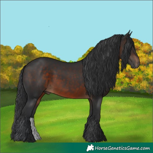 Horse Color:Brown 
