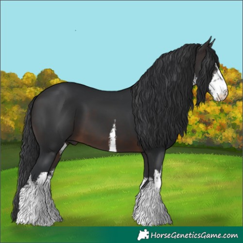 Horse Color:White Spotted Brown 