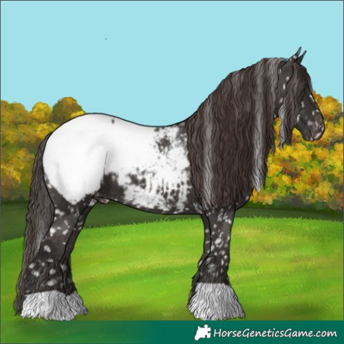 Horse Color:Liver Chestnut Snowcap 