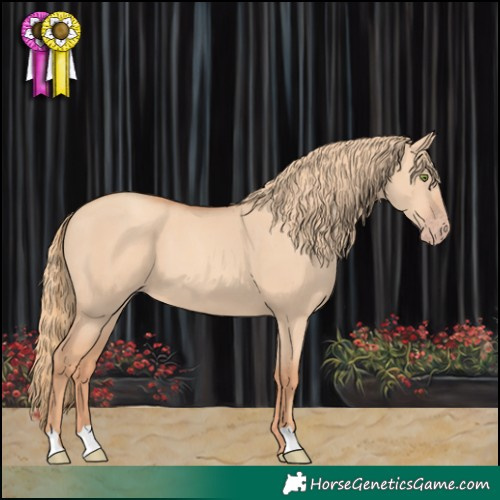 Horse Color:Gold Champagne Dun 