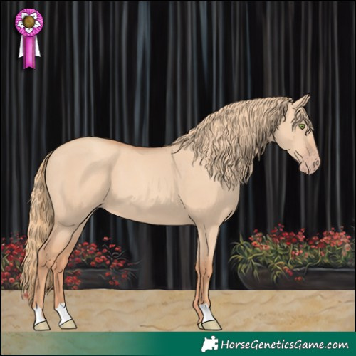 Horse Color:Gold Champagne Dun 