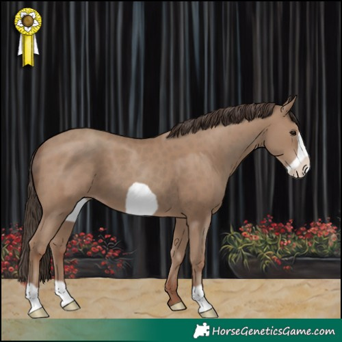 Horse Color:Classic Champagne Frame 
