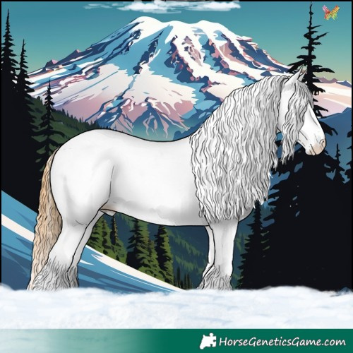 Horse Color:White Spotted Chestnut 