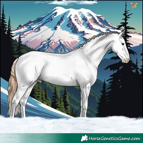 Horse Color:White Spotted Chestnut 