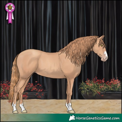 Horse Color:Gold Champagne 