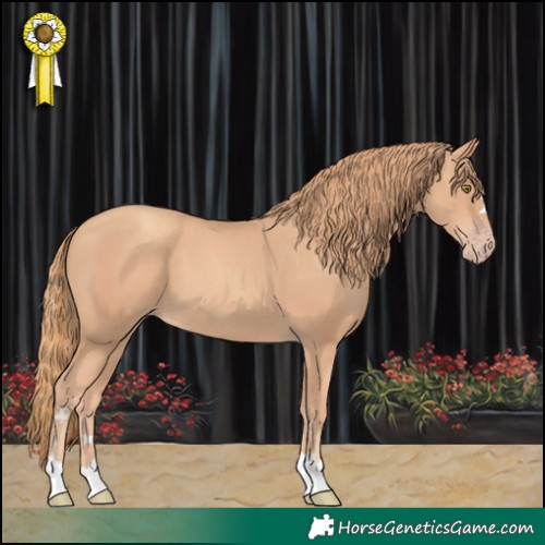 Horse Color:Gold Champagne