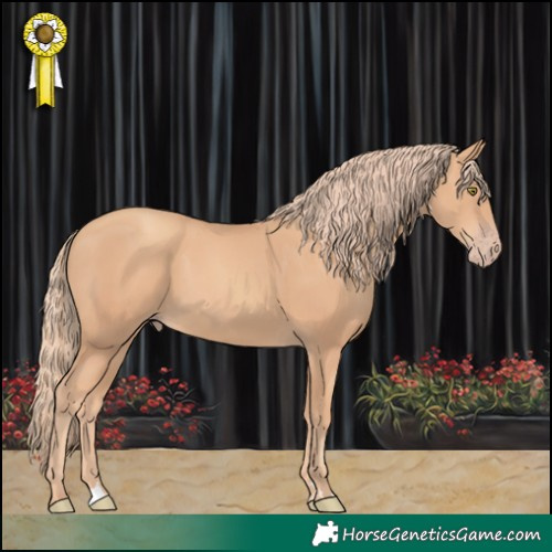Horse Color:Gold Champagne 