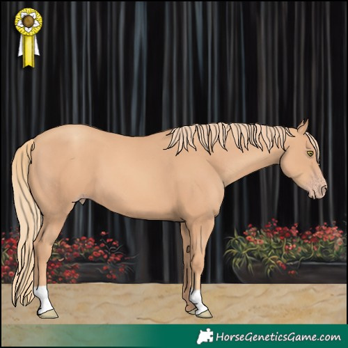 Horse Color:Gold Champagne 