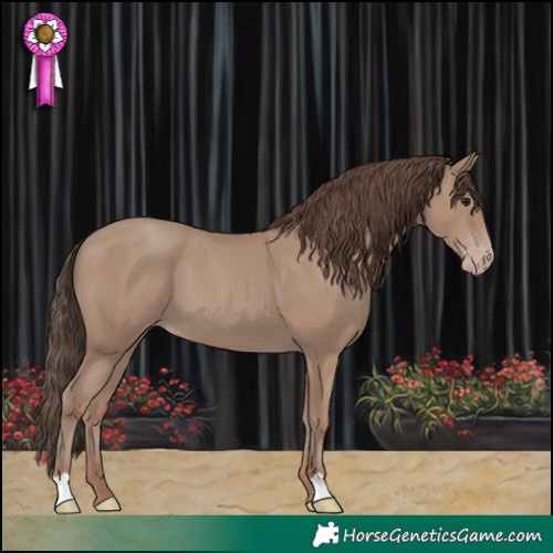 Horse Color:Classic Champagne 