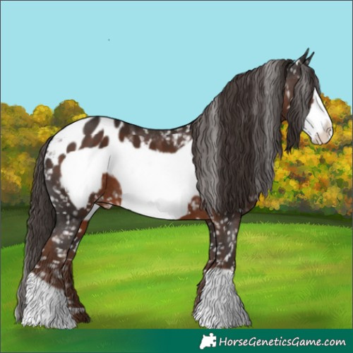 Horse Color:Liver Chestnut Frame Blanket 