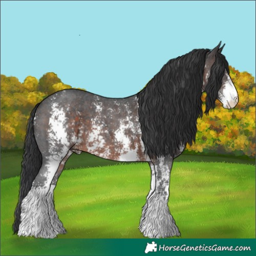 Horse Color:Brown Sabino 