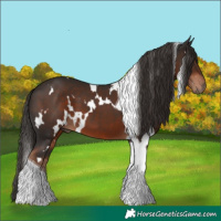 Horse Color:White Spotted Liver Chestnut Tobiano