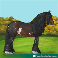 Horse Color:White Spotted Brown