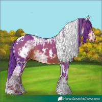 Horse Color:Watercolor White Spotted Liver Chestnut Ice 