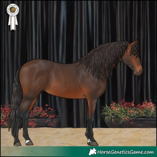 Horse Color:Brown 