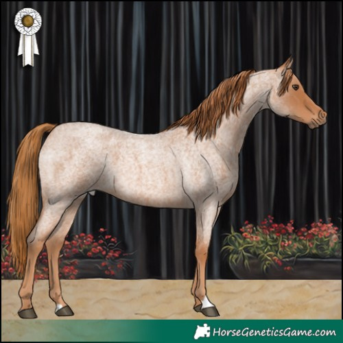 Horse Color:Red Roan 