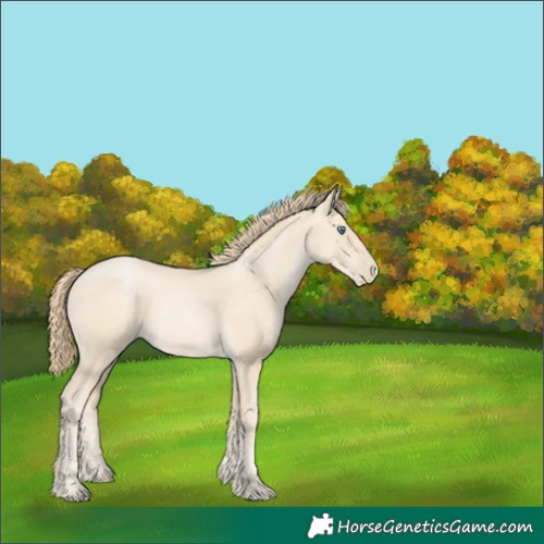 Horse Color:Smoky Black Pearl