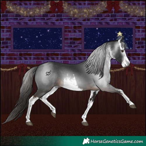 Horse Color:Gray White Spotted Liver Chestnut