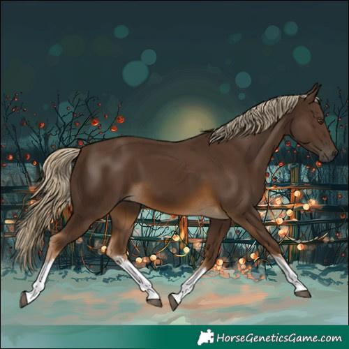 Horse Color:Gray White Spotted Chocolate Palomino