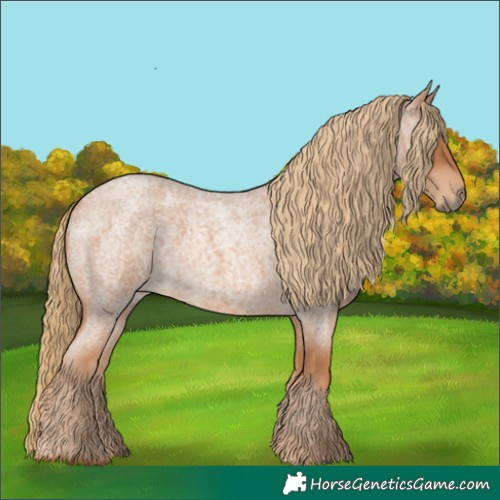 Horse Color:Red Roan 