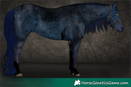 Horse Color:ERROR: UNKNOWN ANOMALY