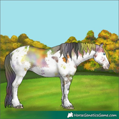 Horse Color:Nacre Bay Onyx Splash Tobiano 