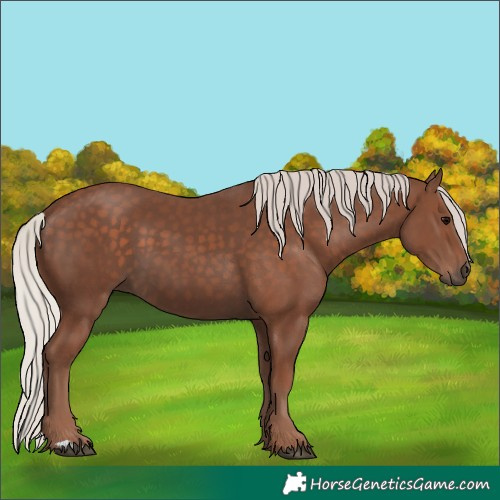 Horse Color:Silver Black 