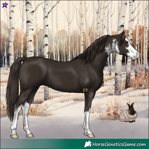Horse Color:White Spotted Liver Chestnut 