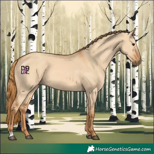 Horse Color:Red Dun 