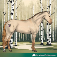 Horse Color:Red Dun 