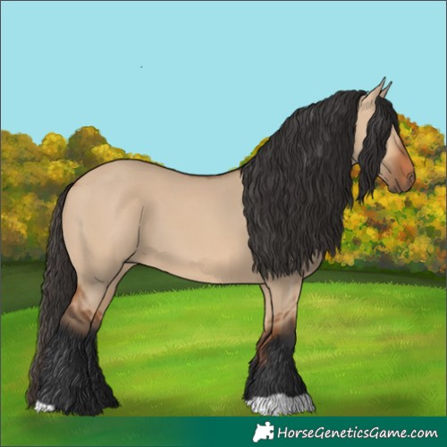 Horse Color:Bay Dun
