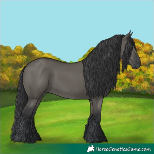 Horse Color:Grullo