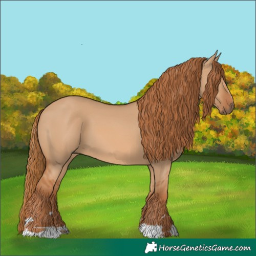 Horse Color:Red Dun 