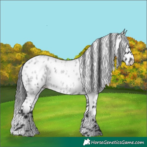 Horse Color:Blue Roan Leopard 